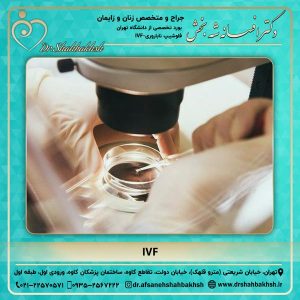 IVF