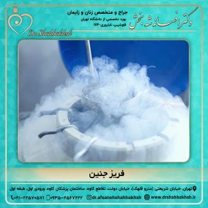 فریز جنین