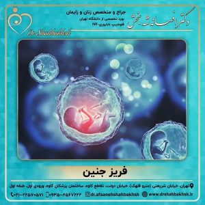 فریز جنین