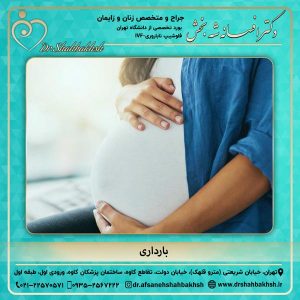 بارداری - دکتر شه بخش