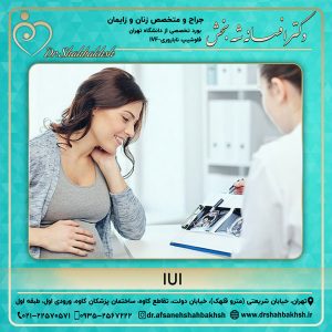 IUI 