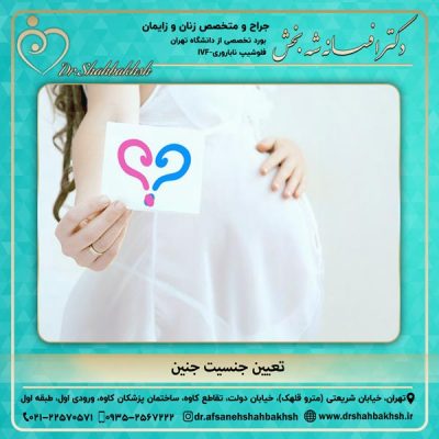 تعیین جنسیت جنین - دکتر شه بخش