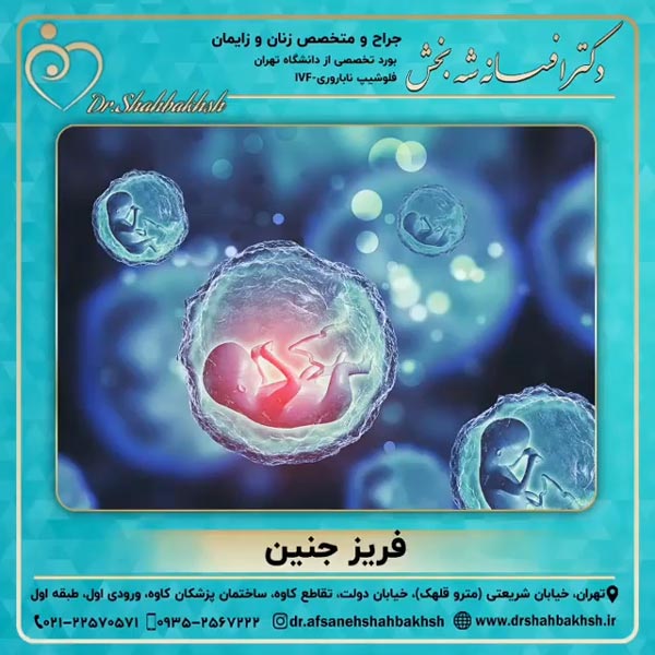 فریز جنین