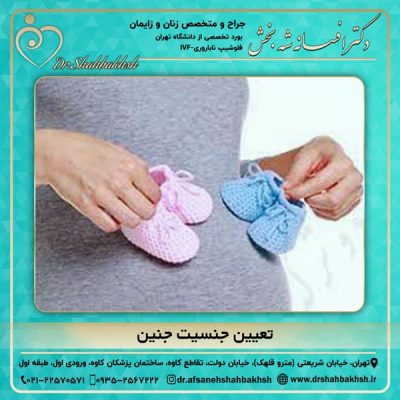 تعیین جنسیت جنین - دکتر شه بخش