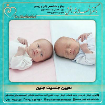 تعیین جنسیت جنین - دکتر شه بخش