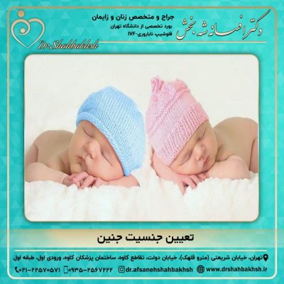 تعیین جنسیت جنین - دکتر شه بخش
