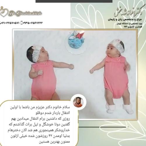 بهترین-متخصص-ناباروری-دکتر-شه-بخش-9